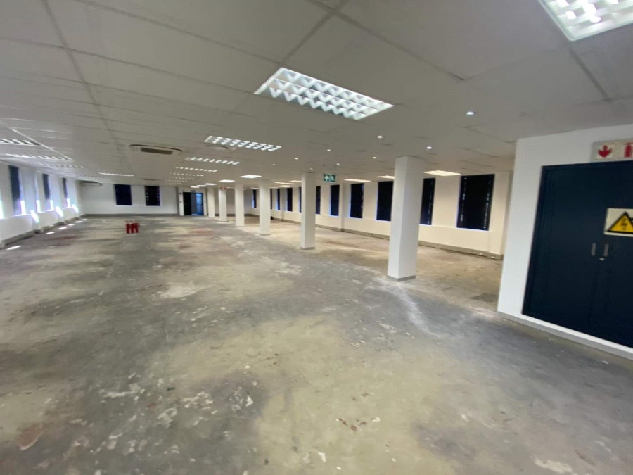 To Let commercial Property for Rent in Observatory Western Cape